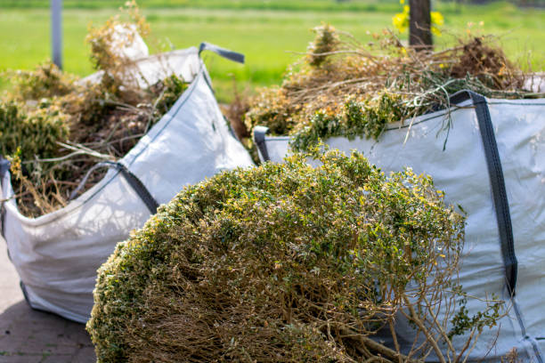 Best Shed Removal  in Winter Park, FL
